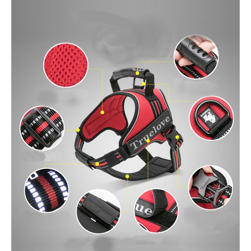 Truelove City Harness