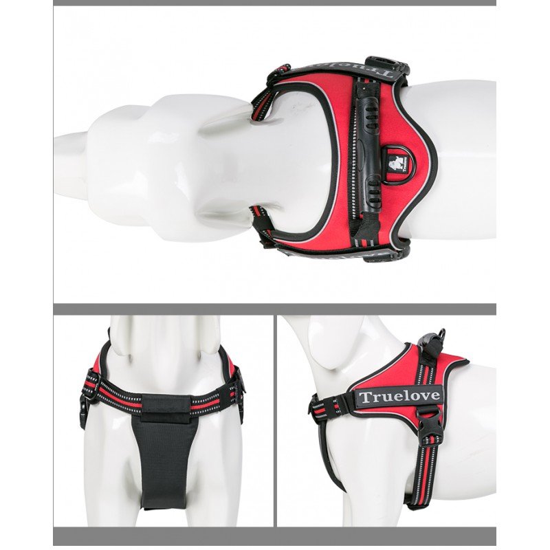 Truelove City Harness