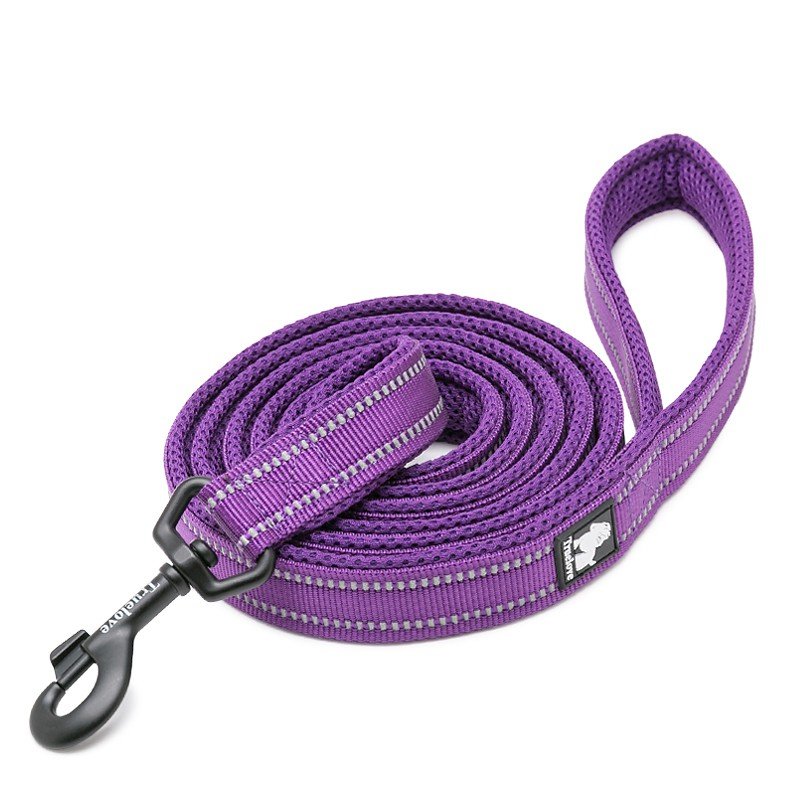 Truelove Walking dog Leash - TLL2111