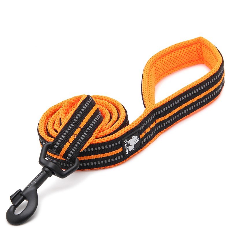 Truelove Walking dog Leash - TLL2111