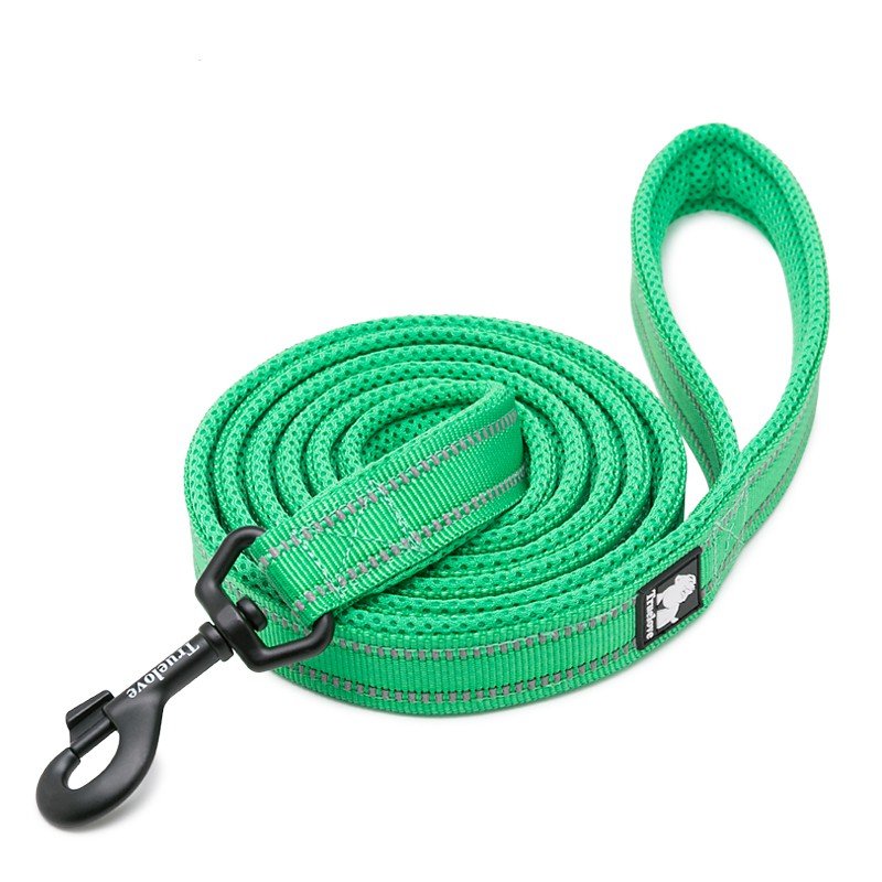 Truelove Walking dog Leash - TLL2111