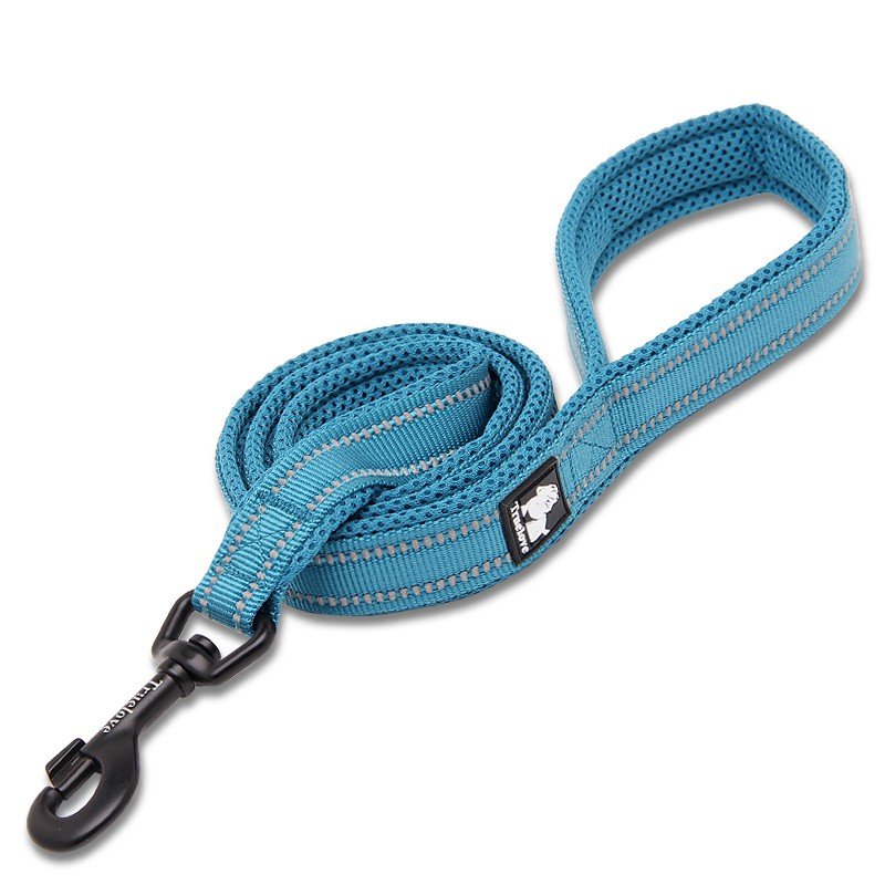 Truelove Walking dog Leash - TLL2111