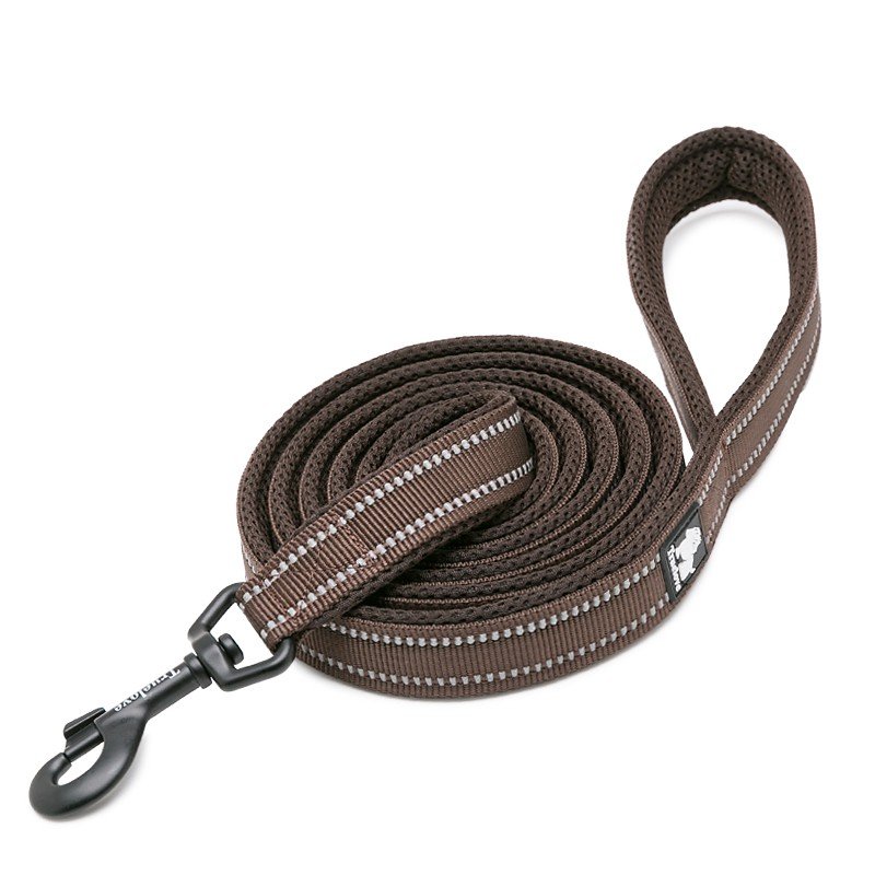 Truelove Walking dog Leash - TLL2111