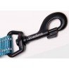 Truelove Walking Leash