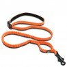 Truelove Retractable dog Leash - TLL2271