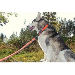 Truelove Retractable dog Leash - TLL2271