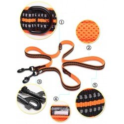 Truelove Ride 3 point dog Leash - TLL2411