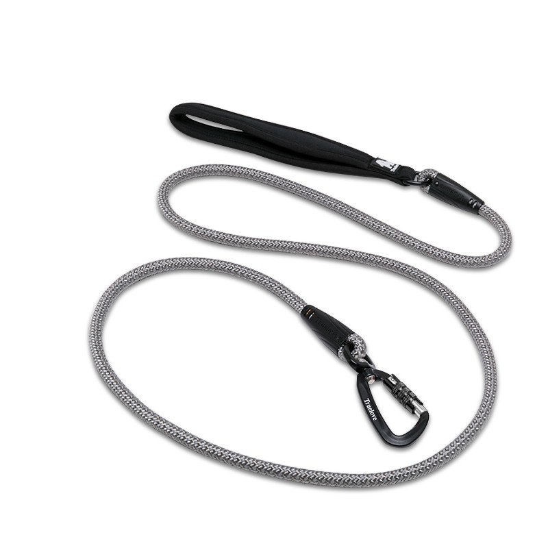 Truelove Running dog Leash - TLL2571