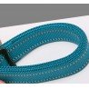 Truelove Climb dog Leash - TLL2671