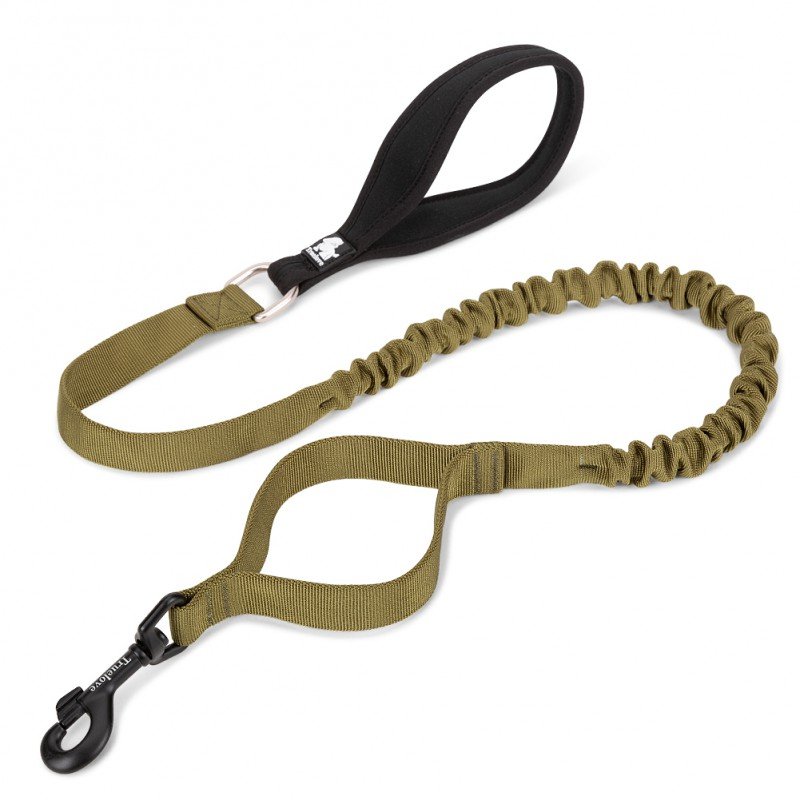 Truelove Flow dog Leash - TLL2281