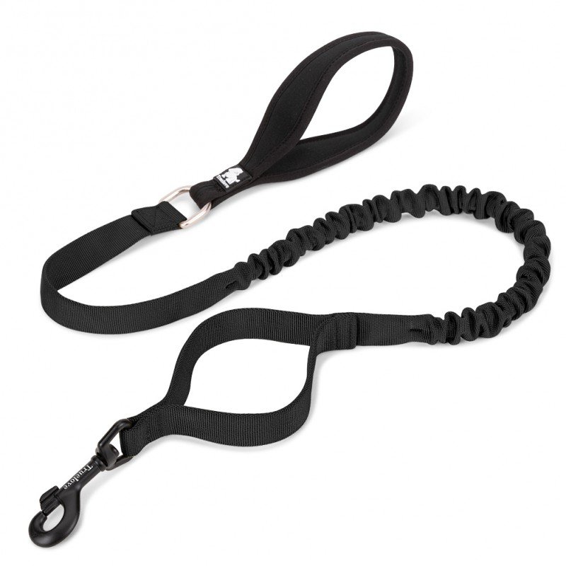 Truelove Flow dog Leash - TLL2281