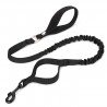 Truelove Flow dog Leash - TLL2281