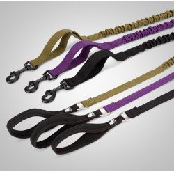 Truelove Flow dog Leash - TLL2281