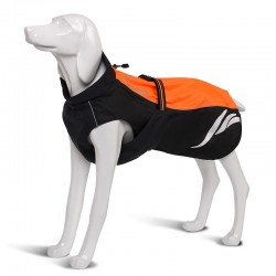 Truelove Spring dog Jacket - TLG2471