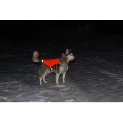 Truelove Rain dog Jacket - TLG2681