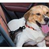 Truelove dog Security Clip - TLM1991