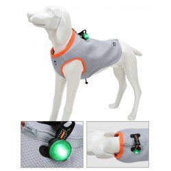Truelove dog LED lights for Collars, Leashes and Harnesses - TLD19101