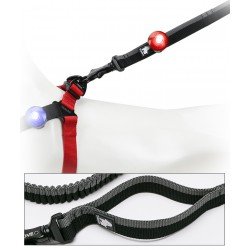 Truelove dog LED lights for Collars, Leashes and Harnesses - TLD19101